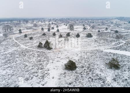 Veduta aerea della brughiera coperta di neve al Parco Nazionale di Sallandse Heuvelrug nel gennaio 2019, Overijssel, Paesi Bassi Foto Stock