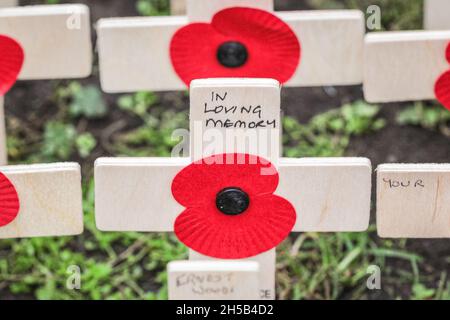 Westminster, Londra, Regno Unito. 8 novembre 2021. Volontari di molte organizzazioni diverse, in collaborazione con la Royal British Legion, stanno creando gli omaggi piantati nei campi della memoria, ognuno portando un messaggio personale a qualcuno che ha perso la vita in servizio per il paese nei terreni di Westminster Abbey a Londra. Credit: Imagplotter/Alamy Live News Foto Stock