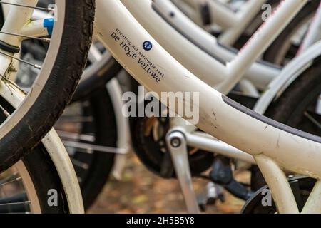 Le biciclette bianche sono disponibili gratuitamente nel Nationalpark De Hoge Veluwe di Otterlo, Paesi Bassi Foto Stock