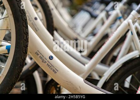 Le biciclette bianche sono disponibili gratuitamente nel Nationalpark De Hoge Veluwe di Otterlo, Paesi Bassi Foto Stock