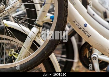 Le biciclette bianche sono disponibili gratuitamente nel Nationalpark De Hoge Veluwe di Otterlo, Paesi Bassi Foto Stock