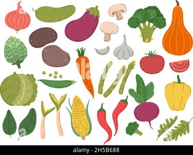 Set di verdure fresche di colore. Fattoria vegetariana, broccoli verde sano vegetale. Verdi isolati, cipolle grandi pomodori. Set vettoriale esatto di cottura Illustrazione Vettoriale