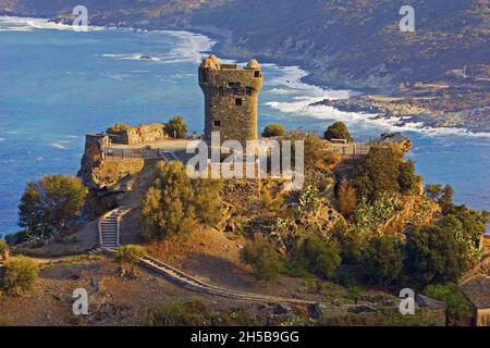 NONZA TOWER (1757) NONZA VILLAGE, CAPO CORSO, HAUTE-CORSE (2B) FRANCIA Foto Stock
