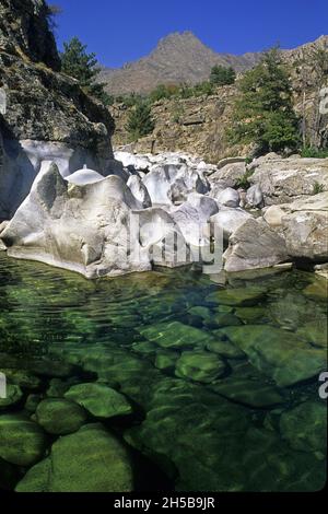 IL GOLO, IL FIUME PIÙ GRANDE E LA PAGLIA ORBA SULLO SFONDO, HAUTE-CORSE (2B), FRANCIA Foto Stock