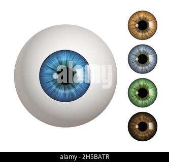 Bulbo oculare umano. Persone elementi anatomici vista macro visione 3d medico decente simboli vettoriali Illustrazione Vettoriale