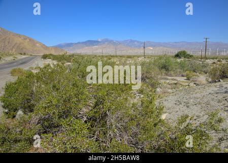 L'immenso parco eolico di San Gorgonio Pass, vicino a Palm Springs CA Foto Stock