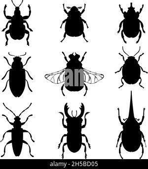 Silhouette bug impostate. Stencil nere forme di coleotteri, contorni di insetti, illustrazione vettoriale delineano creature della scienza di entomologia isolato su sfondo bianco Illustrazione Vettoriale