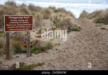 Point Reyes National Seashore è una contea di Marin sulla costa pacifica della California settentrionale negli Stati Uniti. Foto Stock