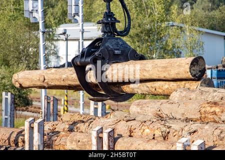 Una gru con ganasce carica tronchi di albero nei carri Foto Stock