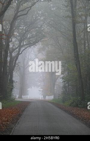 Una strada nebbia attraverso la foresta. Alla fine c'è una recinzione bianca. È autunno. Foto Stock
