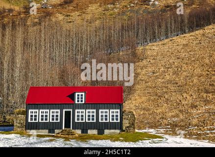 Casa in legno tradizionale con neve in inverno con alberi di betulla sul fianco della collina, Skogar Folk Museum, Islanda Foto Stock