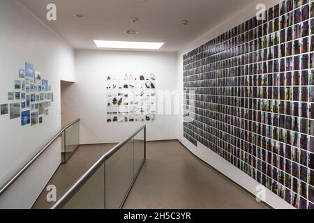 Accumulazione delle cose di Anne Geeene. Mostra speciale all'ingresso del museo Kröller-Müller di Henry van de Velde a Otterlo, Paesi Bassi Foto Stock