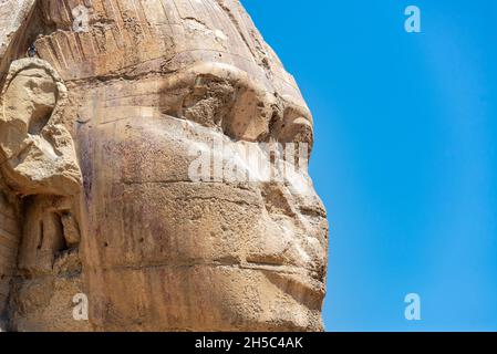 Primo piano della faccia della Grande Sfinge di Giza in Egitto Foto Stock