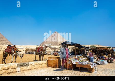 GIZA, EGITTO - 14 LUGLIO 2021: Cammelli e venditori vicino alla Grande Piramide a Giza, Egitto Foto Stock