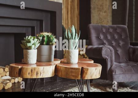 Cactus con piante domestiche in camera. Decorazioni per la casa e concetto di amante degli alberi Foto Stock