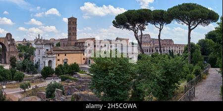 Vista dal Colle Palatino verso l'Arco di Tito e il Colosseo attraverso i Pini, Roma, Italia Foto Stock