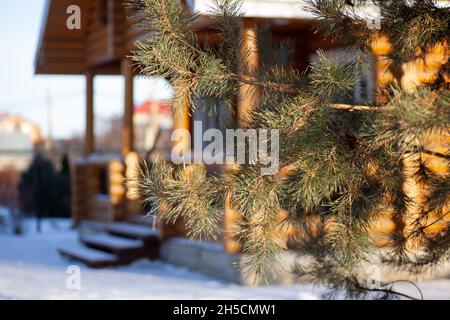 Primo piano del ramo di abete rosso. Casa in legno fatta di travi con portico e scala coperta di neve dopo la tempesta di neve pesante, paesaggio casolare invernale Foto Stock