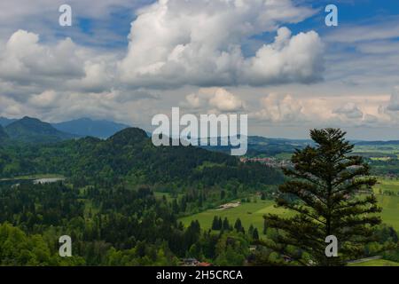 Foresta alpina vicino al castello di Neuschwanstein e al castello di Hohenschwangau. le alpi bavaresi in primavera, il monte Tegelberg. Foto Stock