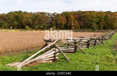 Una recinzione in legno lungo un campo di grano con una linea di alberi in lontananza al Gettysburg National Military Park in un giorno di autunno soleggiato Foto Stock