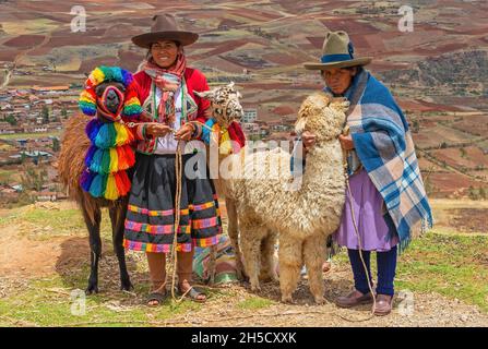 Donne indigene peruviane Quechua con lama e alpaca con campi agricoli nella Valle Sacra degli Inca, Cusco, Perù. Foto Stock