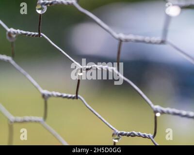 OLYMPUS FOTOCAMERA DIGITALE Foto Stock