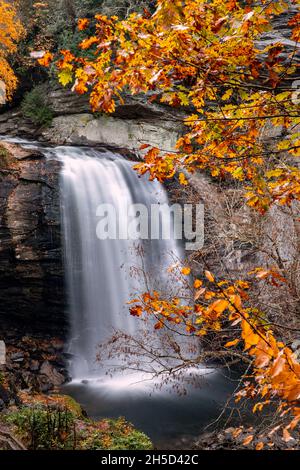 Il Looking Glass Falls - Pisgah National Forest - nei pressi di Brevard, North Carolina, STATI UNITI D'AMERICA Foto Stock