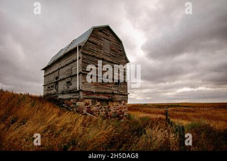 Granaio abbandonato nel campo verde. Foto Stock