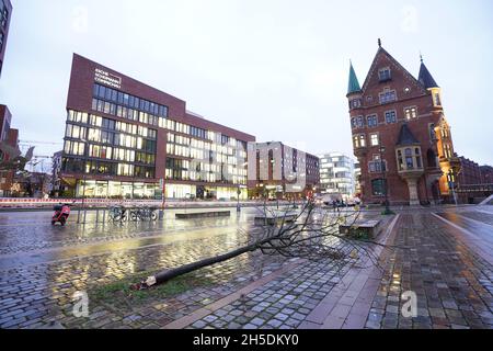 Amburgo, Germania. 8 novembre 2021. Un albero caduto si trova a St. Annenplatz in Hafenity. Credit: Marcus Brandt/dpa/Alamy Live News Foto Stock