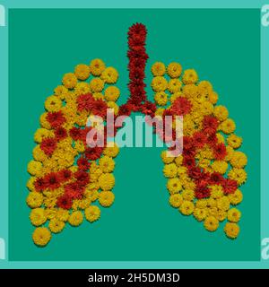 Forma dei polmoni umani, installazione dei fiori, concetto di salute dei polmoni. Parte delle immagini mediche del set degli organi umani interni Foto Stock