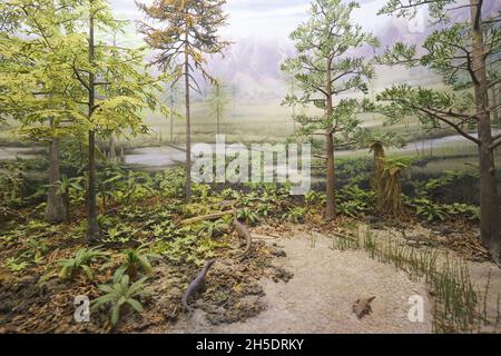 Un intimo diorama di un antico bosco, paesaggio con piccoli animali. Al Dinosaur state Park vicino Hartford, Connecticut. Foto Stock