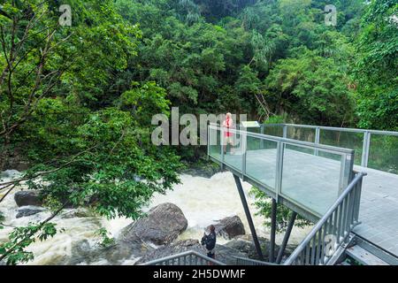 Piattaforma panoramica su Freshwater Creek nella foresta pluviale tropicale a Crystal Cascades, Cairns, Wet Tropics, far North Queensland, FNQ, Australia Foto Stock