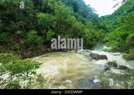 Fresh Water Creek che imperversa attraverso una gola nella foresta pluviale tropicale durante la stagione umida, Cascades di cristallo, Cairns, Tropics di bagnato, Queensland di far North, FNQ Foto Stock