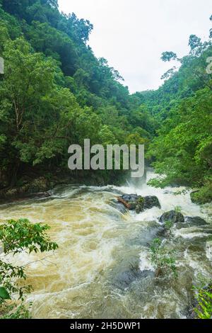 Fresh Water Creek che imperversa attraverso una gola nella foresta pluviale tropicale durante la stagione umida, Cascades di cristallo, Cairns, Tropics di bagnato, Queensland di far North, FNQ Foto Stock