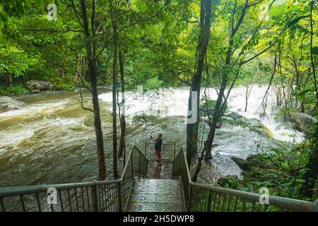 Il turista fotografa Freshwater Creek in piena inondazione nella foresta pluviale tropicale durante la stagione umida, Cascades Cristallo, Cairns, Tropics bagnato, Qu lontano Nord Foto Stock