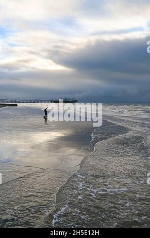 Brighton UK 19 novembre 2021 - Un scavger esca sfrutta al massimo la bassa marea sulla spiaggia di Brighton in una mattinata in cielo lungo la costa meridionale con l'occasionale esplosione di sole attraverso le nuvole scure : Credit Simon Dack / Alamy Live News Foto Stock