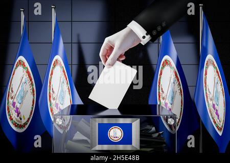 Bandiere della Virginia, mano che cade la scheda di voto in una scatola - voto, concetto di elezione - illustrazione 3D Foto Stock