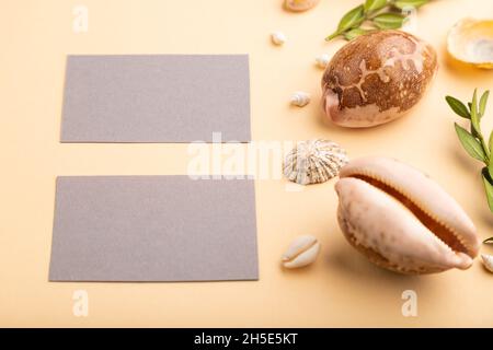 Composizione di biglietti da visita di carta grigia, conchiglie, bosso verde. Mockup su sfondo arancione. Vuoto, vista laterale, fermo immagine, spazio di copia Foto Stock