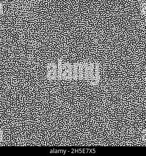 Motivo di Turing. Modello di reazione-diffusione. Basi chimiche di morfogenesi. Illustrazione Vettoriale