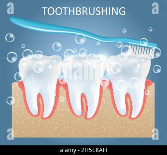 Modello di design del poster dell'anatomia medica vettoriale dello spazzolamento dei denti Illustrazione Vettoriale