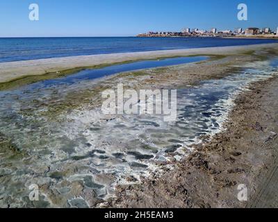 Riva paludosa del Mar Caspio. Il mare era sporco e puzzolente. Kazakistan. Regione di Mangistau. Aktau città. 18 novembre 2019 anno. Foto Stock