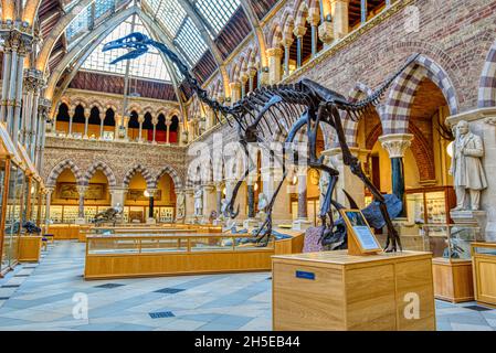 Oxford, Regno Unito - 15 Settembre 2017 : una visita al See the Exhibits presso il Museo di Storia Naturale dell'Universita' di Oxford e' una delle aree Foto Stock