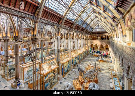 Oxford, Regno Unito - 15 Settembre 2017 : una visita al See the Exhibits presso il Museo di Storia Naturale dell'Universita' di Oxford e' una delle aree Foto Stock