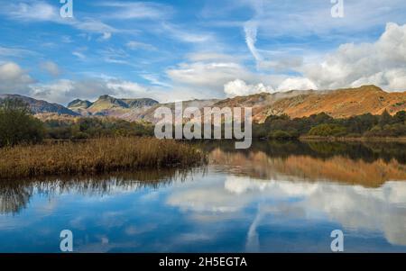 Una vista su Elterwater dei Langdale Pikes nella Great Langdale Valley, Lake District National Park Foto Stock
