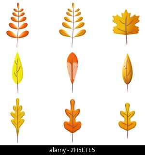 Imposta le foglie d'autunno 3D. Caduta foglia, rendering 3d minimo, plastilina, vettore Illustrazione Vettoriale