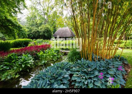 Inghilterra, Hampshire, Test Valley, Stockbridge, Longstock, Leckford Estate, Longstock Park Water Gardens Foto Stock