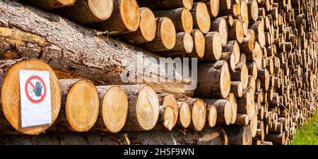 Deposito per tronchi di legno Foto Stock