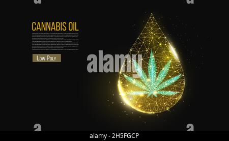 Concetto di olio di cannabis. Bassa caduta di polycanp e olio su sfondo nero. Struttura di collegamento della luce a reticolo a foglia di marijuana, grafica poligonale 3d. Illustrazione Vettoriale