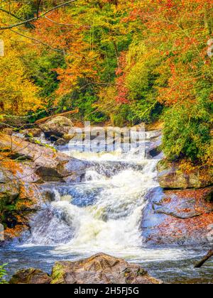 Il colore della caduta intorno ai piccoli acquari nel fiume Cullasaja nella Foresta Nazionale di Nantahala fra Franklin e le Highlands North Carolina USA Foto Stock