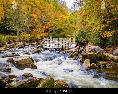 Il colore della caduta intorno ai piccoli acquari nel fiume Cullasaja nella Foresta Nazionale di Nantahala fra Franklin e le Highlands North Carolina USA Foto Stock