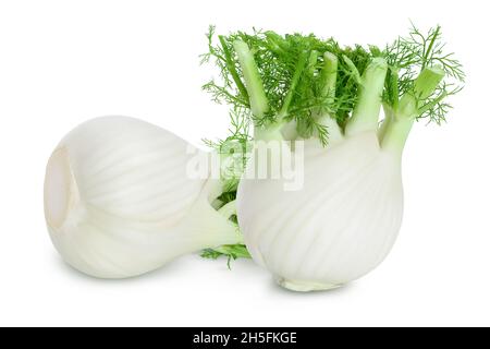 bulbo di finocchio fresco isolato su fondo bianco a piena profondità di campo Foto Stock